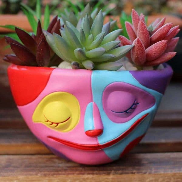 1pc Unique Colorful Grimace Flower Garden Succulent Pots, Home Room Holiday Wedding Decor, Outdoor De 26W0203