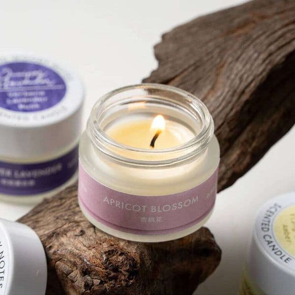 1Pc Hot-selling Essential Oil Series Scented Candle, 12 Scents Soy Waxes for Home Fragrance Decoration Air Freshener, Rose Mint H260205