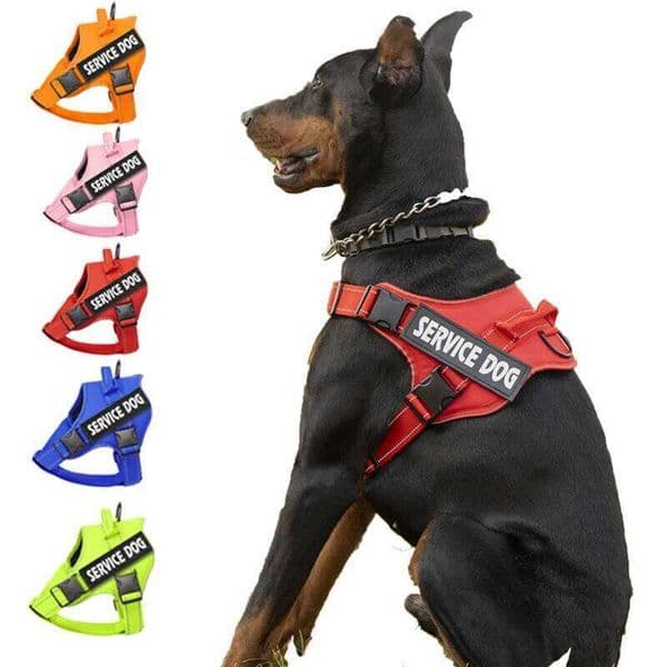 1pc Service Dog Vest Harness with Handle, Adjustable Polyester Pet Carrier for Outdoor Use, Graphic Pattern 26L0205
