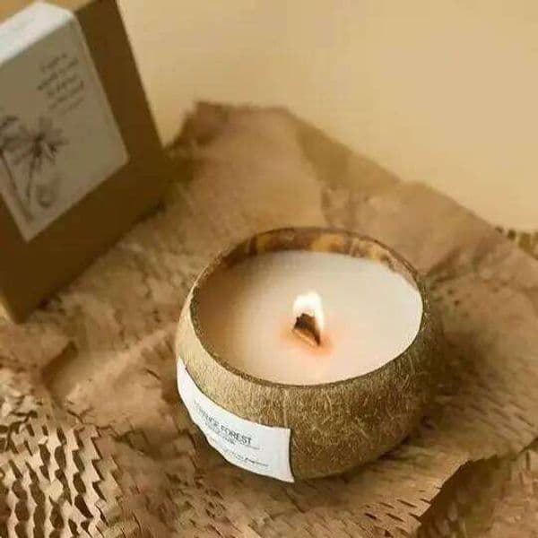 Natural Coconut Shell Scented Aromatherapy Plant Essential Oil Candle, Ins - Style Home Ambient Decor Ornament H260205