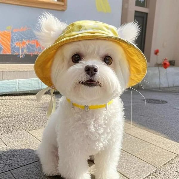 Chic Animal Print with Adjustable Strap Durable Outdoor Summer Protection Headwear for Your Furry Friends