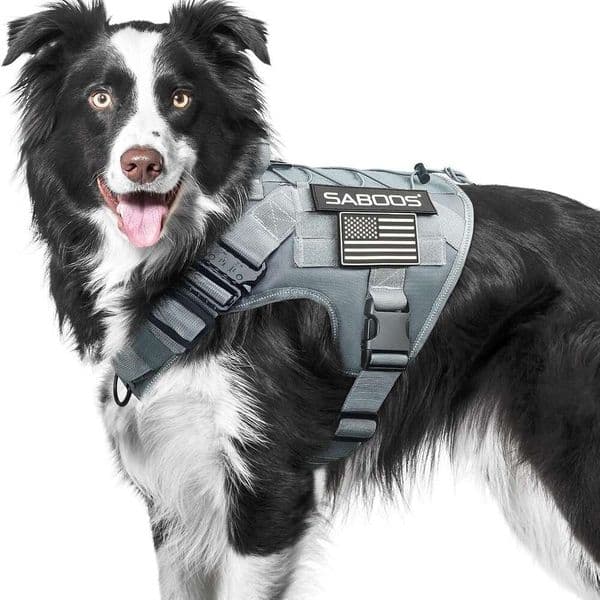 Crossborder Tactical Dog Chest Harness Adjustable Vesttype Leash For Large Medium And Small Dogs Explosionproof Collar Manufacturer Customization