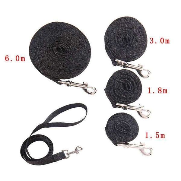 Leash For Medium Large Dogs Pet Puppy Cat Walking Training Lead Big Dog Nylon Rope Long Leashes 6m 10m 15m 20m 30m 50m 26Y0209