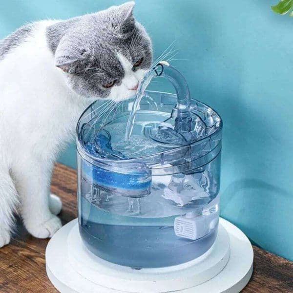 Auto Smart Cat Fountain Quiet Tilted Design Energy Efficient Pet Drinker for Fresh Water Circulation 26H0209