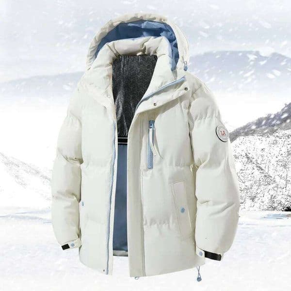 New Fall/Winter Down And Jacket Thickened With Cotton Winter Bread Korean Edition Coat