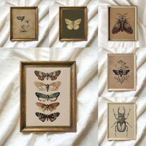 1pcs Frameless Retro Insect Moth,Butterfly,Beetle Plant Sketch Poster Canvas Painting,Living Room Bedroom Artist Home Decoration 26Y0210