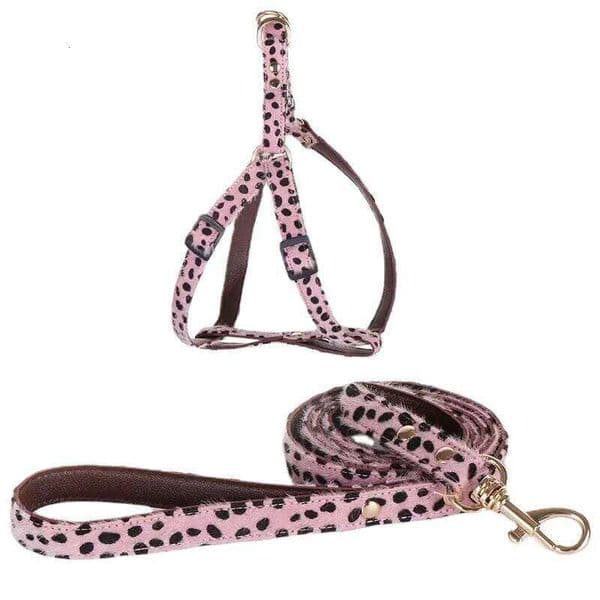 Leopard Print Harness and Leash Set Adjustable - Stylish Dog Collar Pu Fashion Pet Walking Accessories for Small Dogs