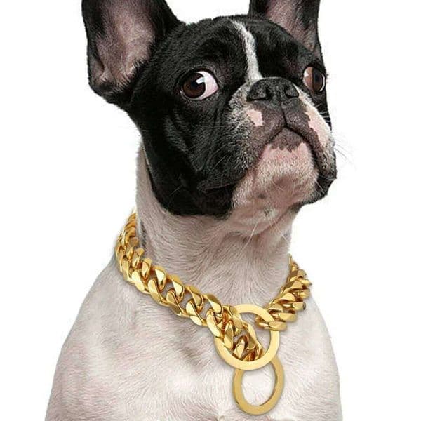 Gold Stainless Leash P Chain Collar Titanium Steel Metal Hip Hop Style All Stage Dog Breeds for Pet Training W260225