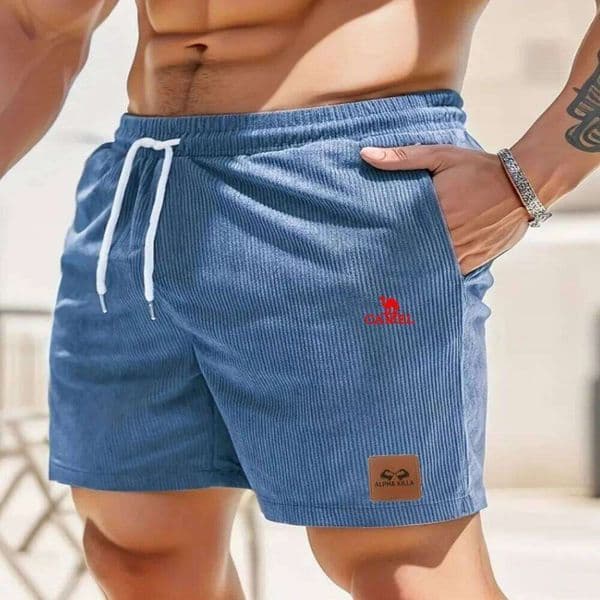 new CAMEL embroidered Summer men's comfortable stretch pants Men's breathable five inch shorts plus size H260226