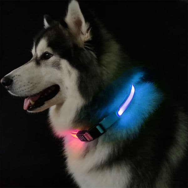COMMIXCN 2-Pack LED Dog Collar, Glow Collar for Small Medium Large Dogs, All-Purpose Fit with Standard Buckle, Adjustable for Night Walking, Camping, and Outdoor Use