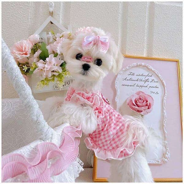 Lovely Pet Clothes 2025 Korean Pink Grid Cute Princess Dresses For Small Medium Dog Chihuahua Teddy Cotton Vest Skirts Puppy 26W0227
