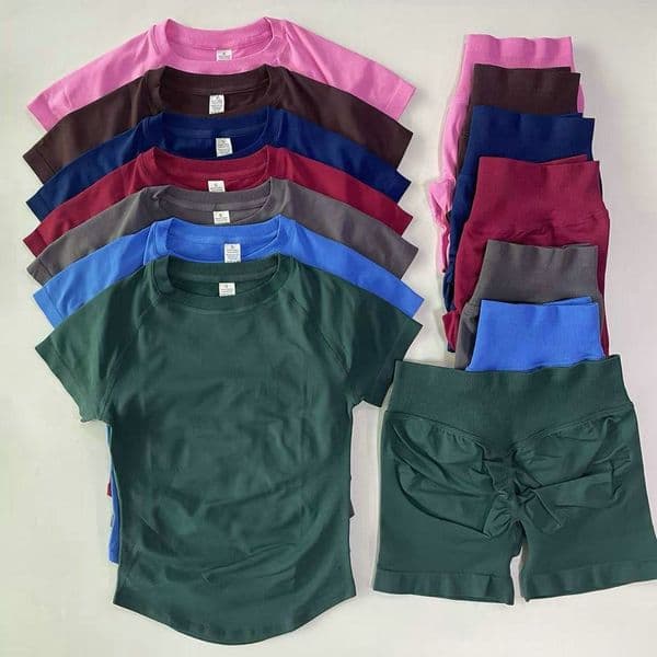STOCK 2 Pieces Sport Designer Women Set Longline Sleeve Yoga T-Shirt Crop Top Gym Clothes Seamless Design Leg Length Low Ribbed Band Short Free Shipping