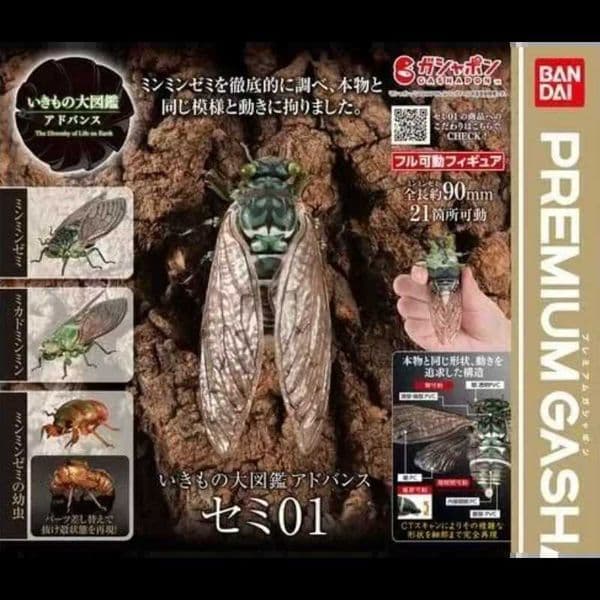 Bandai Original Gashapon Biological Encyclopedia Cicada Simulation Insect Articulated Model Collectible Realistic Toy Kid Adult L2606017P65