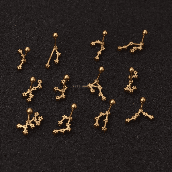 12 Zodiac Zircon Cartilage Cartilage Earring Stud 18k Gold Cubic Zircon Horoscope Sign Earrings for Women Tiny Anti Allergy Stainless Steel Fine Jewelry