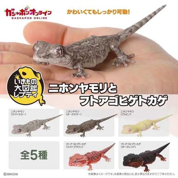 Bandai Original Gashapon Bio Daizukan Japanese Gecko Figure - Bearded Dragon Lizard Model Realistic Reptile Collectible Toys L2606019QCG
