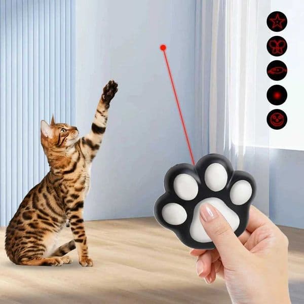 Funny Laser Pet Toys Rechargeable 5 Adjustable Patterns for Pet Dog Cats Interactive Kitten Training Chaser Cat Pets Accessories C260602