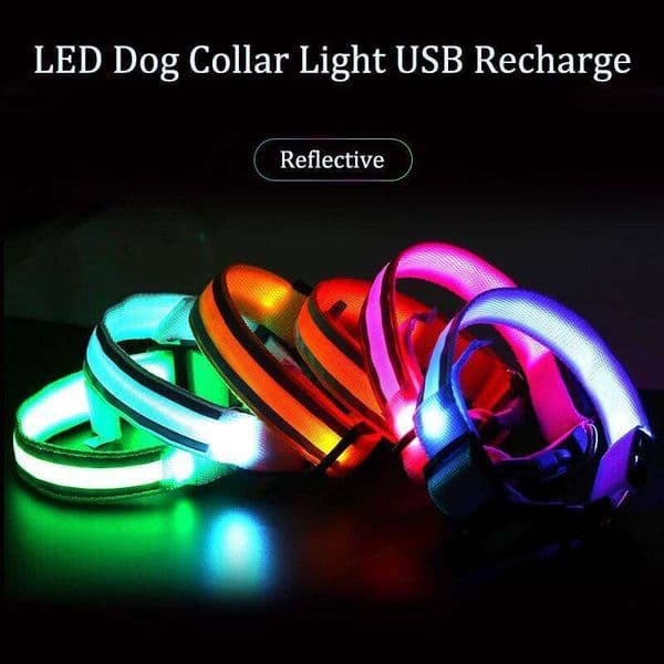 Reflective Luminous Night Safety Usb Rechargeable LED Dog Light For Small Dogs Cat Pet Collar Para Perro XS-XL 26L0602