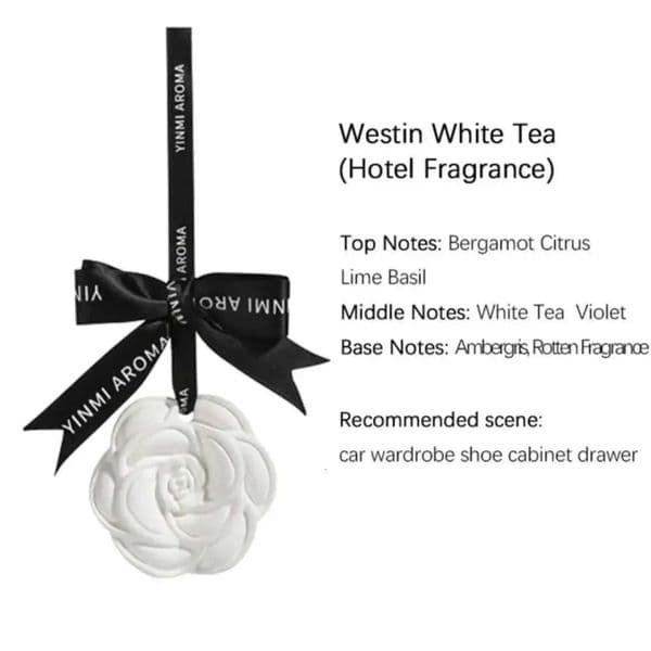 2026 new Luxury Designer Decor Persistent Fragrance Wardrobe gift set Deodorizer Rearview Mirror Ornament Car Pendant Plaster Wax Tablet Decoration For Home