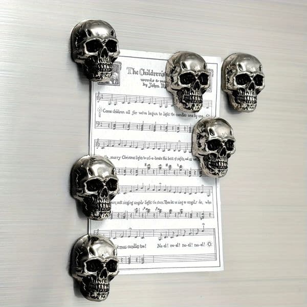 6pcs Gothic Skull Stainless Steel Refrigerator Magnets The Hymn to the Sun Sheet Music n Dark Elegant Decor for Adults 260601