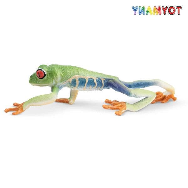 Simulation Toymany Red-eyed Tree Frog Reptile Realm Animal Model Toy Mini Figures Dolls Action Figurines Toys Children Gift L2606049KV3