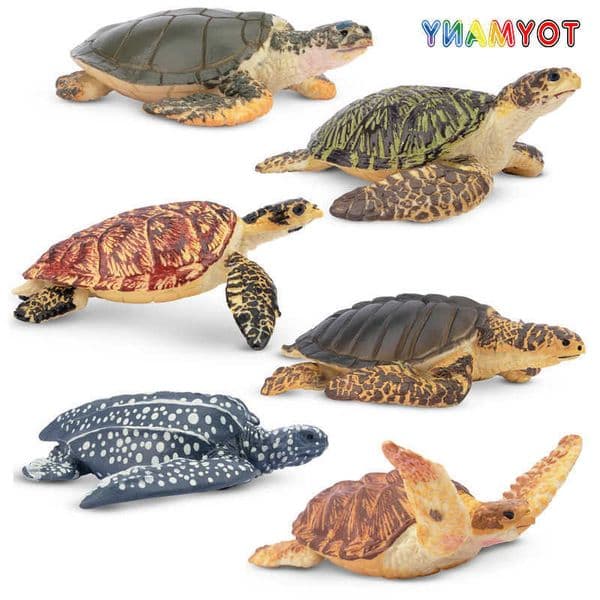 Toymany 6Pcs Simulation Sea Turtle Figures Ocean Animal Model Action Toys for Kids Children Gift Set Mini Collectible Figurines L260604VM1J