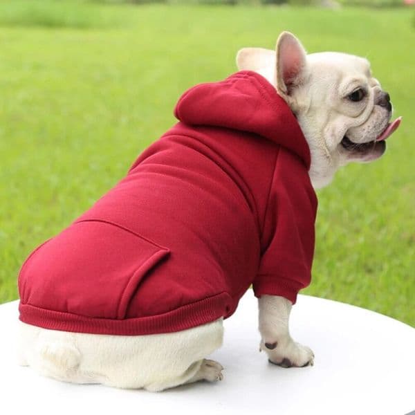 Fashion Dog Clothing Autumn And Winter Small Clothes Thickening Warm Solid Color Two-Feet Hooded Wweater Casual Pet Products Free shipping 2