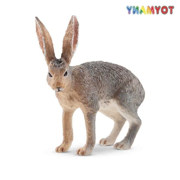 Simulation Toymany Antelope Jackrabbit Wildlife Animal Model Toy Mini Figures Dolls Action Figurines Toys Children Gift L260604EB10