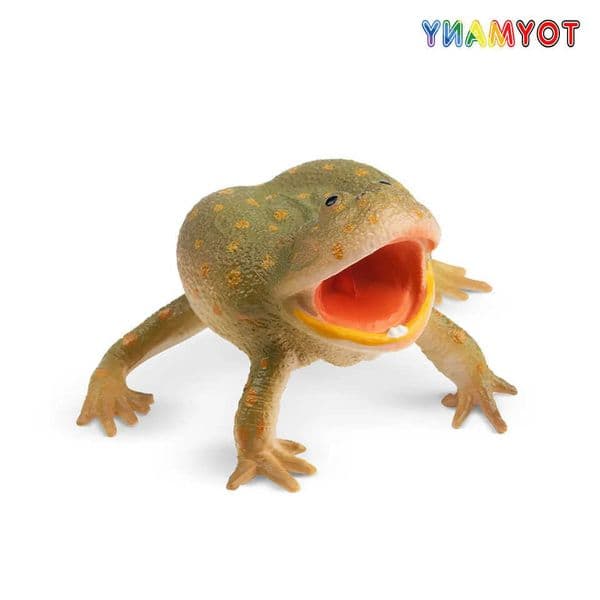 Simulation Toymany Budgetts Frog Reptile Realm Animal Model Toy Mini Figures Dolls Action Figurines Toys Children Gift L2606047IPS