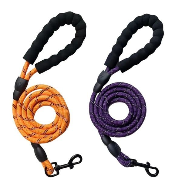 Manufacturer wholesale popular explosion-proof reflective leash chain walking rope dog pet supplies accessories