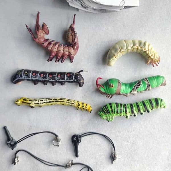 In Stock Japanese Genuine Gashapon Series Insect Pendant Charm Realistic Soft Texture Collectible Model L2606062EPE