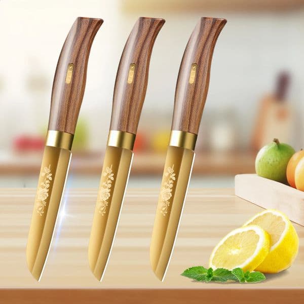 home with a paring knife high-end Kitchen knives super sharp stainless steel fruit Kitchen knife barbecue kitchen utensils 260605