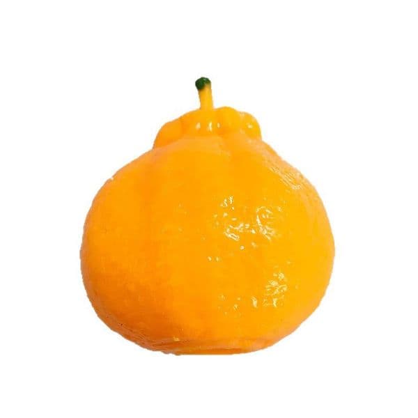 Ugly Orange Pinch Fun Stress Relief Toy Slow Rebound Like Real Orange, Safe and Non toxic for Children-GNH