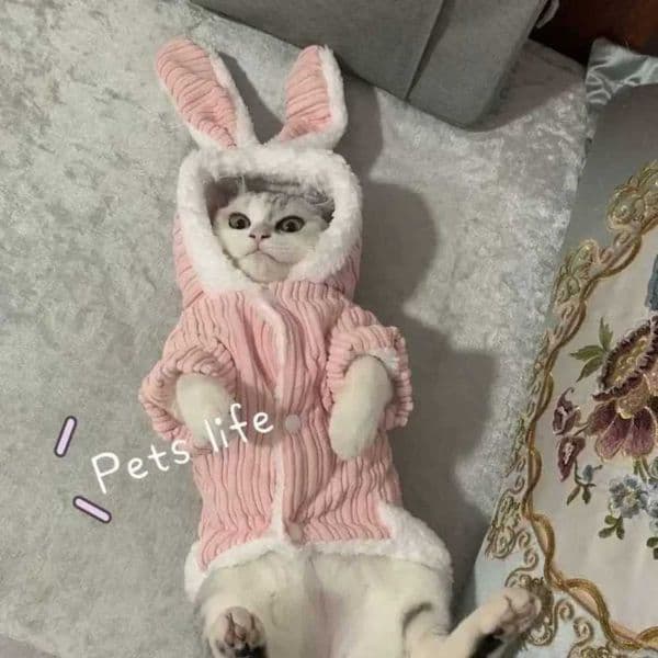 Winter Cat Sweater Thermal Dog Clothes Adjustable Pet Sweater Cozy Puppy Outfit Anti-Slip Indoor Outdoor for Hairless Cat L260608