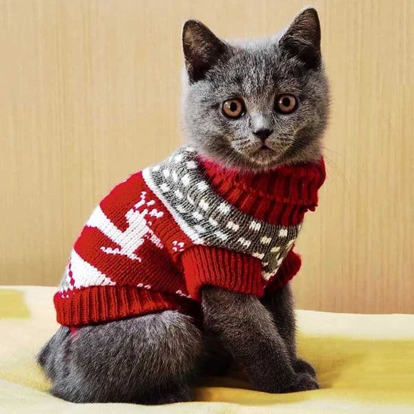 Cute Cat Sweater Costume Winter Warm Pet Clothes for Cats Katten Sphynx Pullover Mascotas Clothing Gatos Products for Animals L260608