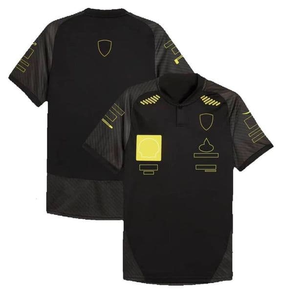 Motorcycle Gear Motorcycle Gear F1 Special Edition Formula 1 Team Ride Driver Tribute T-Shirt Racing Brand Sports Crew Neck Short-Sleeved Jersey Free Ship 11 Sh 33