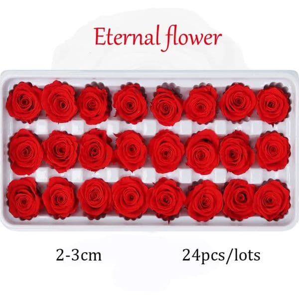 2026 24Pcs Preserved Flowers Immortal Rose perfume Mothers Day DIY Wedding cologne Eternal Life Flower Material Gift Wholesale Dried Flower/Box Free Shipping 31