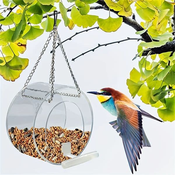 Round Acrylic Bird Feeder Courtyard Hanging And Bird Feeder With Suction Cup PMMA Bird Feeder Decoration 260608