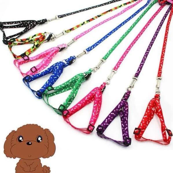 Dog Harness Leashes Nylon Printed Adjustable Pet Collar Puppy Cat Animals Accessories Necklace Rope Tie