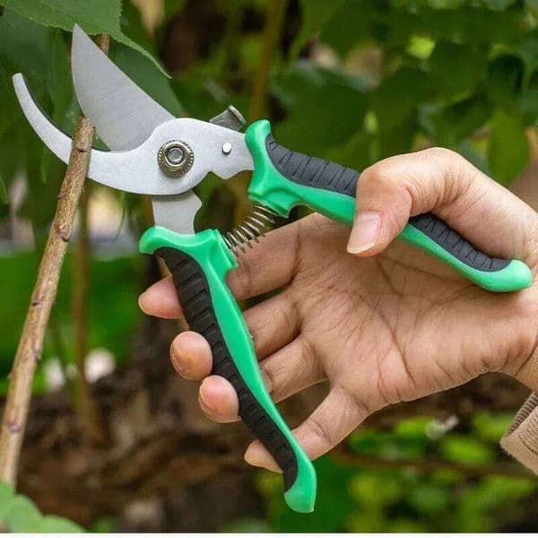 2026 NEW Stainless Steel Professional Gardening branches Fruit trees Flowers Household Pruning Tools Shears 26L0615