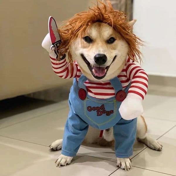 Funny Cosplay Clothes Novelty Puppy Halloween Costumes Sweatshirt Christmas Festival Party Outfit Pet Dress Dog Coat