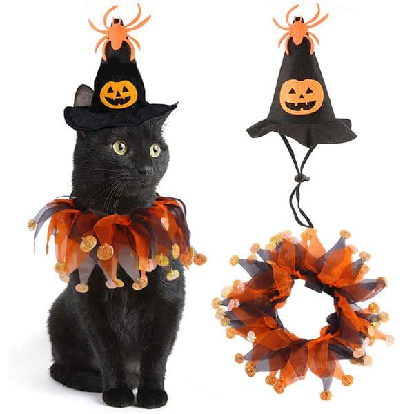Cat Witch Halloween Costume Suit Small Dogs & Cats Tutu Collar and Witch Pumpkin Hat Cute Costume Suit Kitten Outfit Clothing