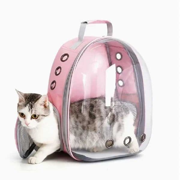 Astronaut Window Dog Cat Carrier Breathable Transparent Backpack Pet Travel BagXJ240907