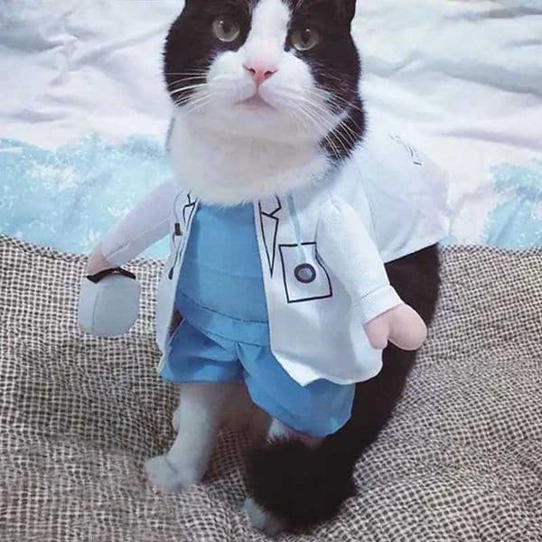 Pet Halloween Costume Dog Cat Doctor Costume Pet Doctor Clothing Halloween Christmas Pet Funny Cosplay Performance ClothingXJ240906