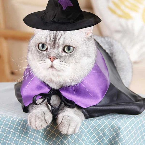 Halloween Pet Cat Dog Cosplay Costume Headwear Funny Kitten Cape And Wizard Hat For Puppy Holiday Decoration Party Clothes CapXJ240906