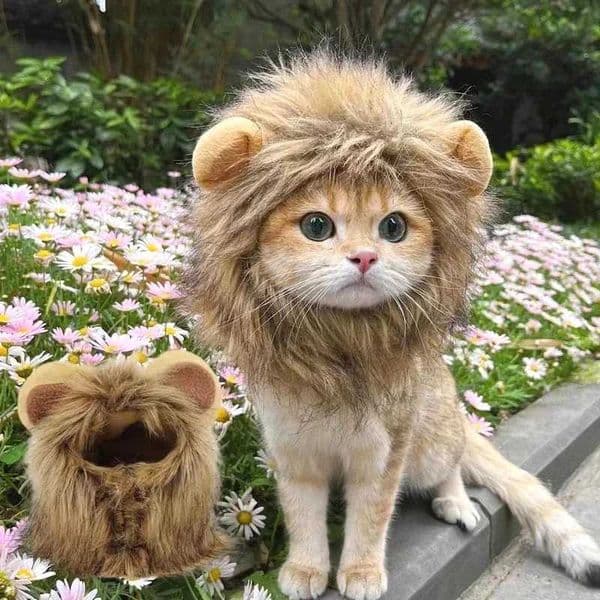 Cat Costume Cute Lion Mane Cat Wig Hat Cosplay Clothes Cap Dress Up Puppy Kitten Halloween Christmas Party Decoration SuppliesXJ240906