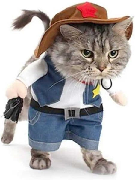 Funny Pet Dog Cat Halloween Costume Dog Cowboy Clothes Pet Dog Costumes for Small Dogs Cosplay Cat AccessoriesXJ240906