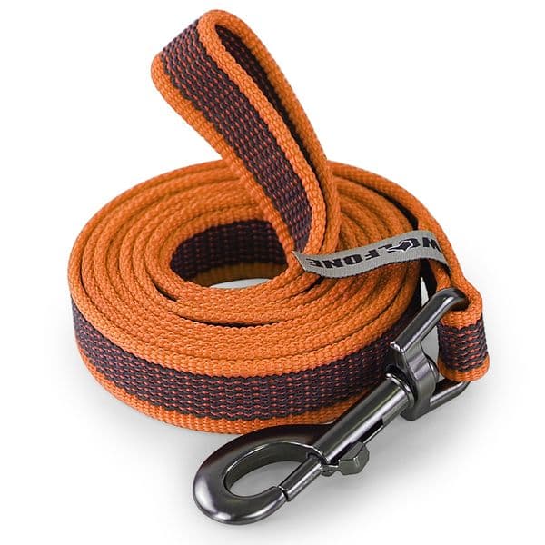 1.5M/5M/3M/15M Medium small Long Dog Leash Latex Silk Easy and Convenient Training Big Dual color WALK THE dog leash 10 meters 123