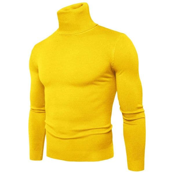 Spring 2024 Turtleneck Sweater Men Warm Knitted Solid Color Pullovers Mens Slim Fit Casual Turtleneck Knitwear Man SweatersX2409