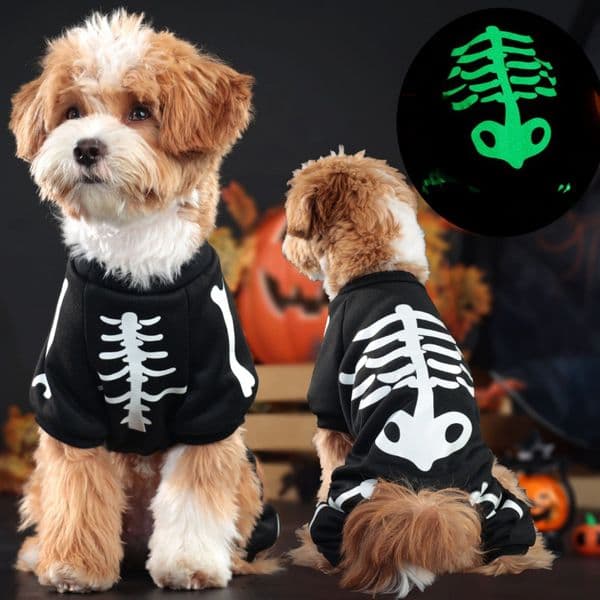 Pet clothing for Dogs Halloween with Glow-in-the-dark Skull and bone quadrupeds for Pets