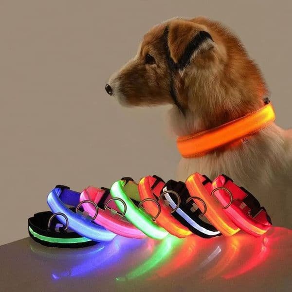 Led Dog Leashes Light Anti-lost Collar For Dogs Puppies Night Luminous Supplies Pet Accessories USB Charging/Battery
